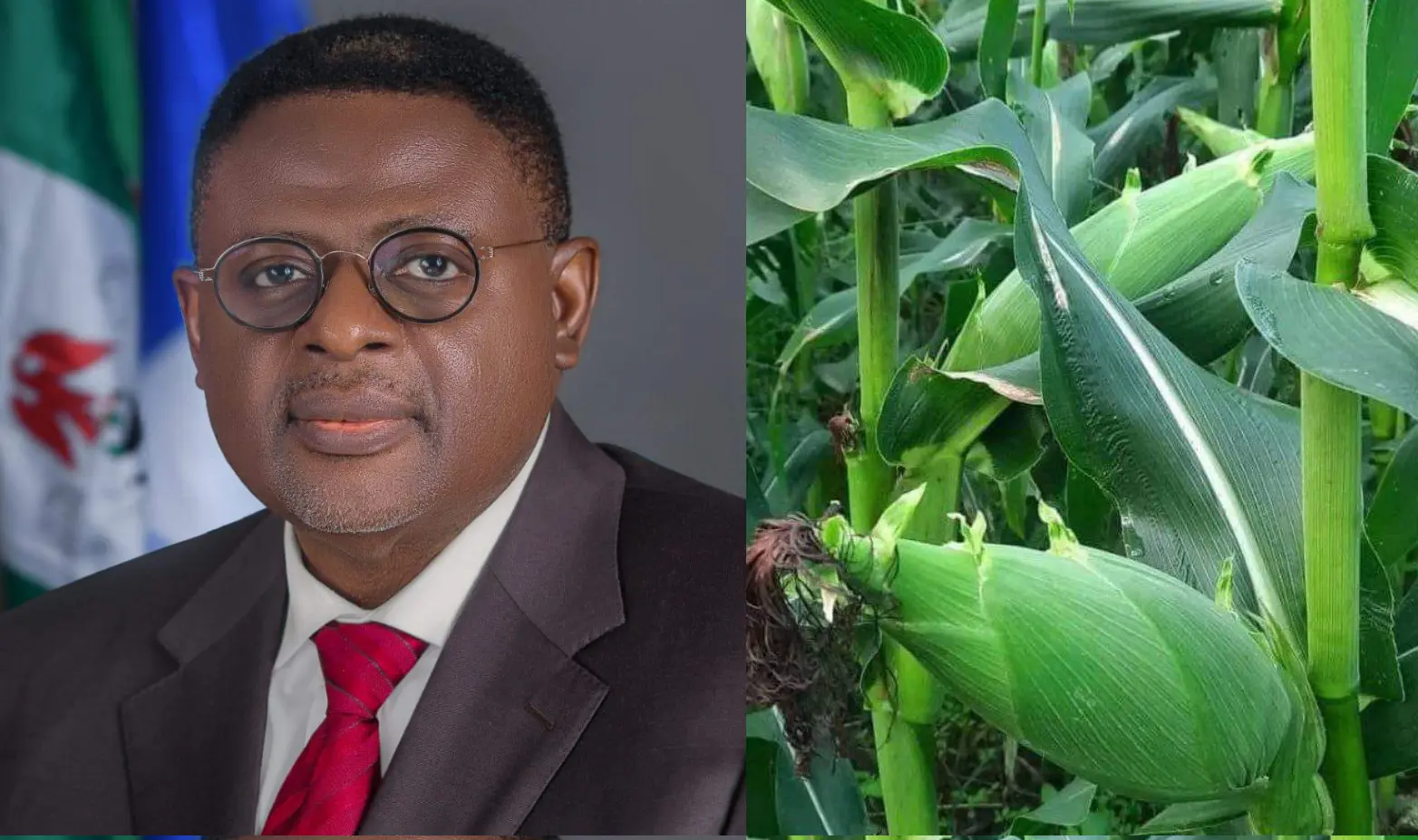Maize Farmers Pledge Support Towards Actualisation Of Otu's Food Security Agenda