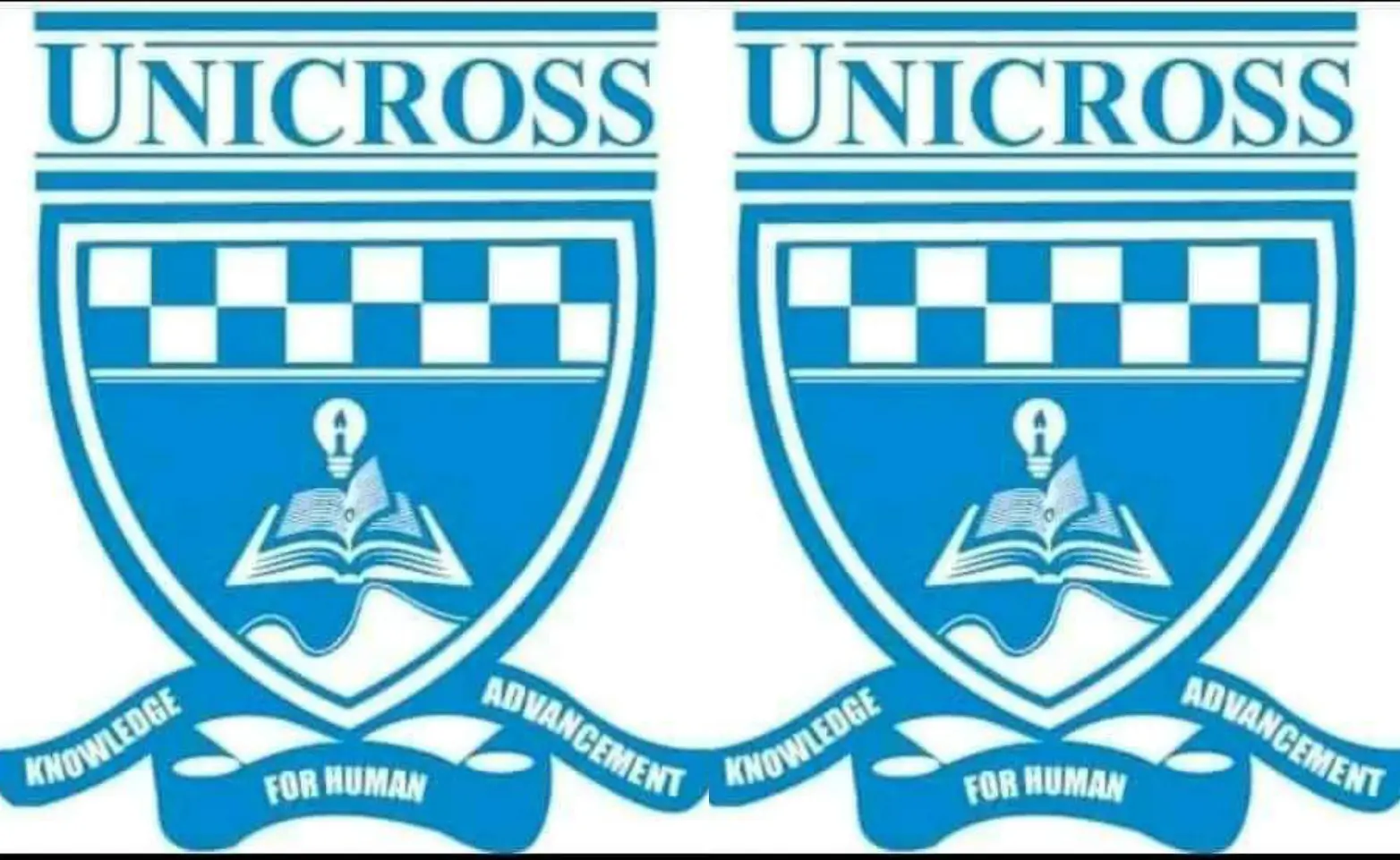 UNICROSS Alumni Set Up Committees Ahead Of National Convention