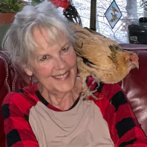 Chicken Who Lived For 21 Years Dies On Christmas Day