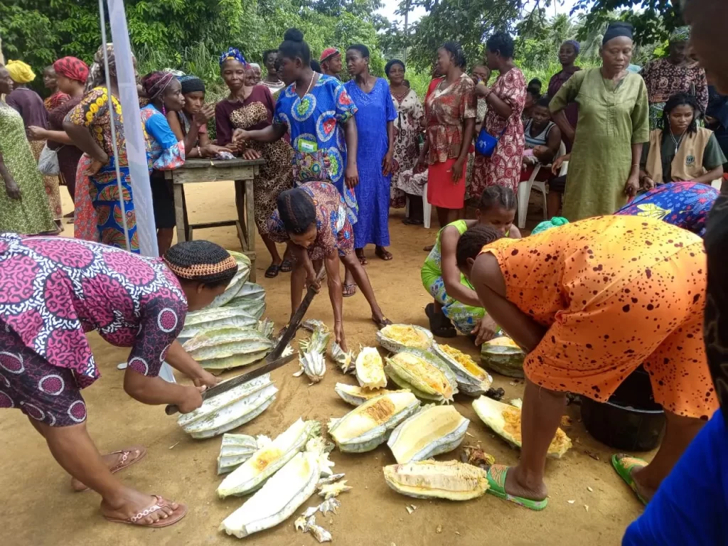 Seed Distribution: We have gained more respect in our community - Bakassi IDP Women