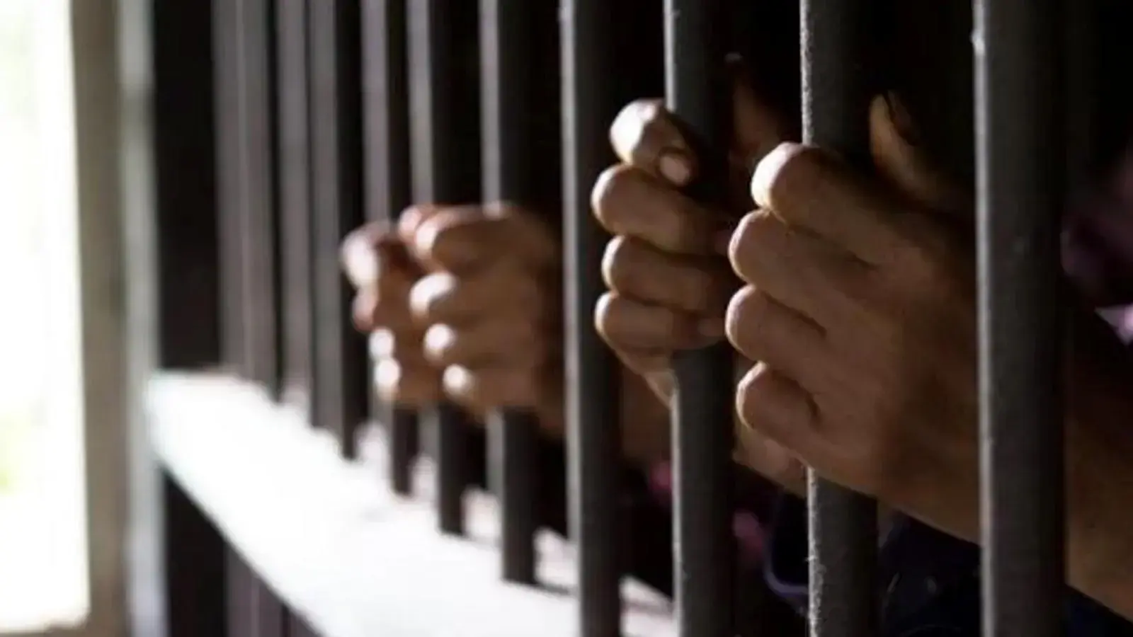 Court remands 2 siblings, jails vulcaniser over missing penis