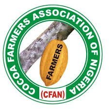download 4 Cocoa Farmers In Nigeria Raise Concerns On Implementation Of EUDR Policy In Producing Countries 