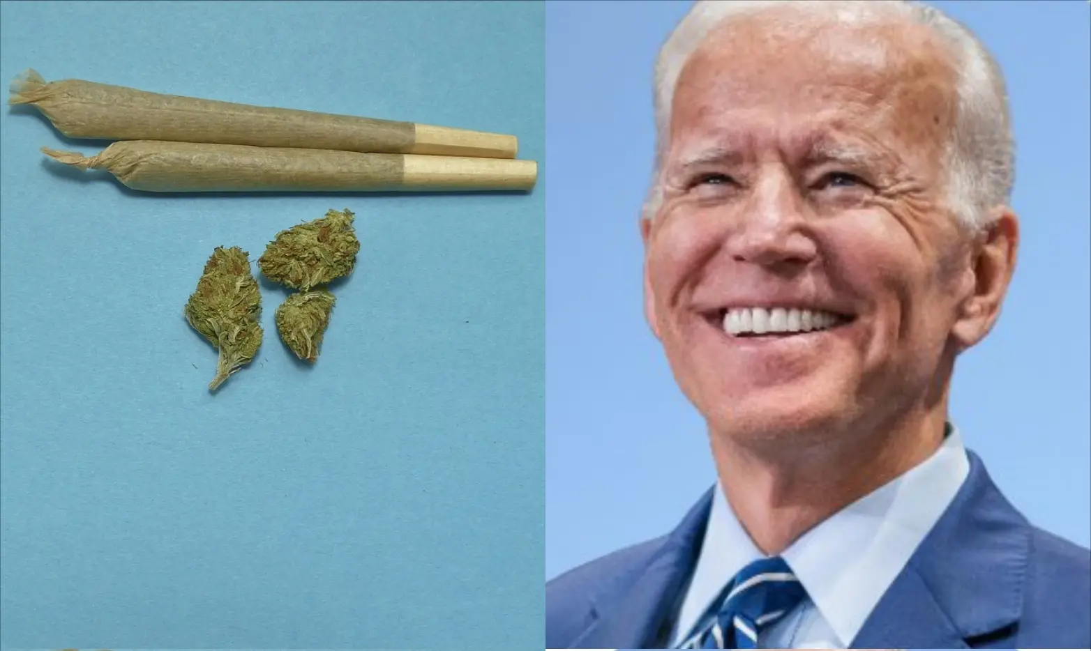 No one should be in prison for possession of marijuana – Biden