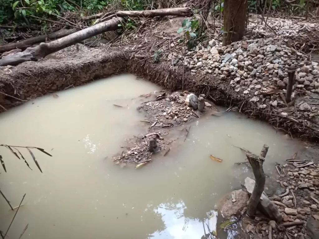 Illegal gold mining in C'River National Park: Part played by indigenes and consequences