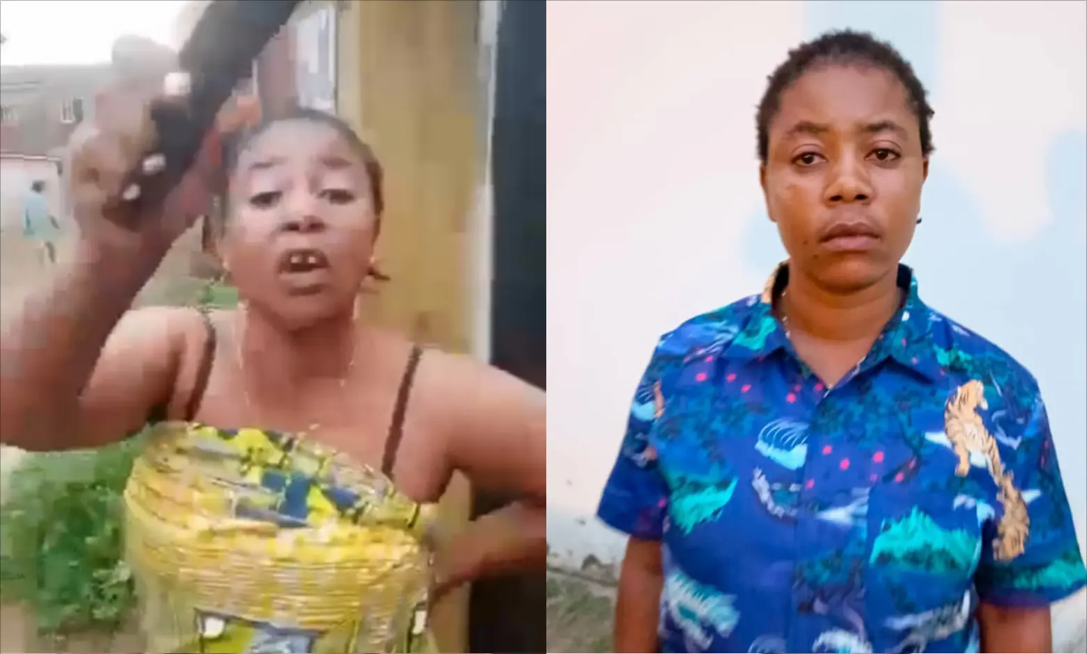 Police arrest woman in viral video maltreating a female child