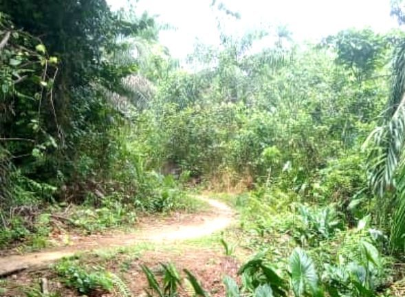 RURAL INFRASTRUCTURE REVOLUTION IN AKS: A CASE FOR UDA – ODUENIM – ORUKO – UBORO ROAD.