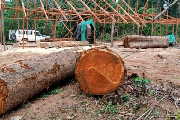 IMG 20240605 WA0017 Oyama Denies Reports Of Chinese Nationals Setting Up Wood Factory In Cross River Community Forest