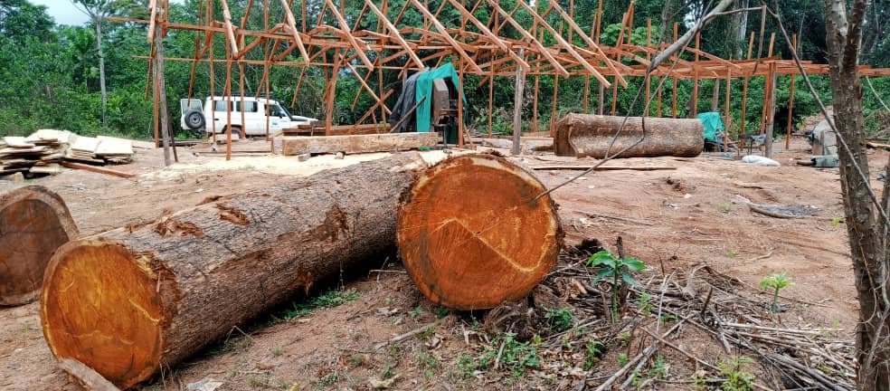 IMG 20240605 WA0017 Oyama Denies Reports Of Chinese Nationals Setting Up Wood Factory In Cross River Community Forest