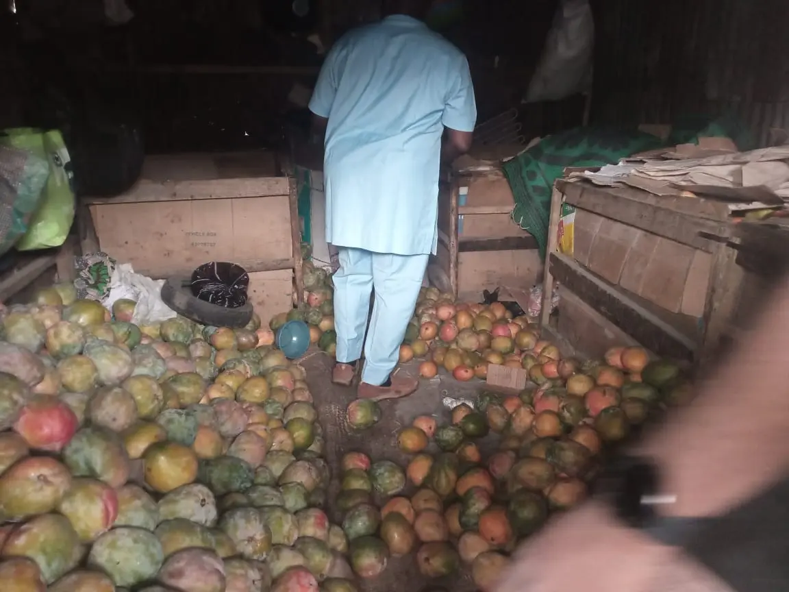 NAFDAC raids Borno fruit market where they use calcium carbide to ripen mangoes