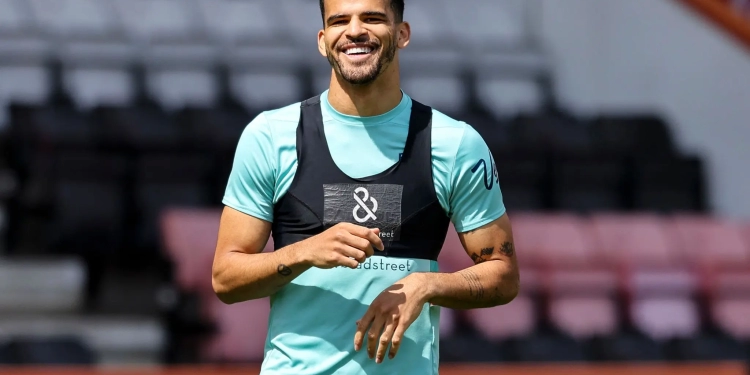 Dominic Solanke