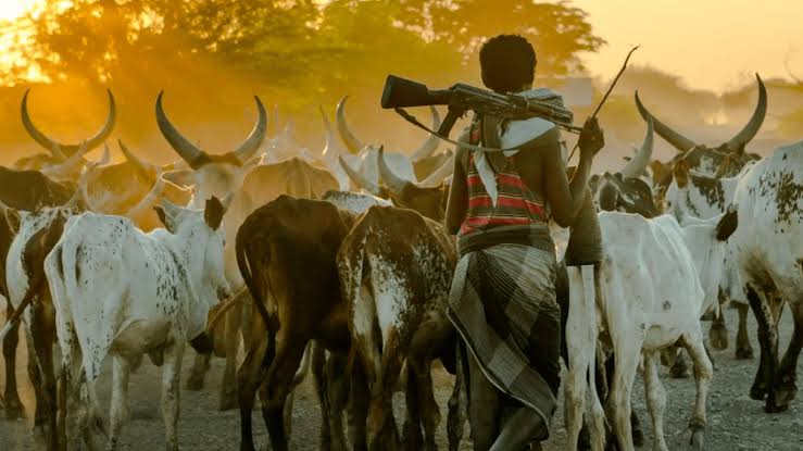 One Feared Dead, Scores Injured in Gombe Fulani-Herdsmen Clash