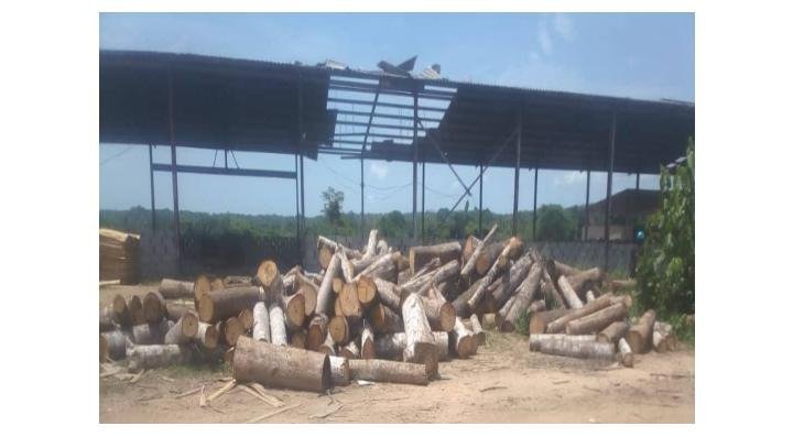 Why  CRHA  Orders Investigation Into Massive Logging In Okuni Forest