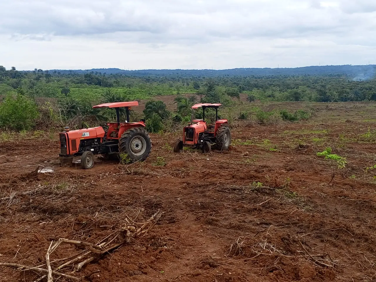 FG, World Bank assess Cross River readiness for irrigation farming