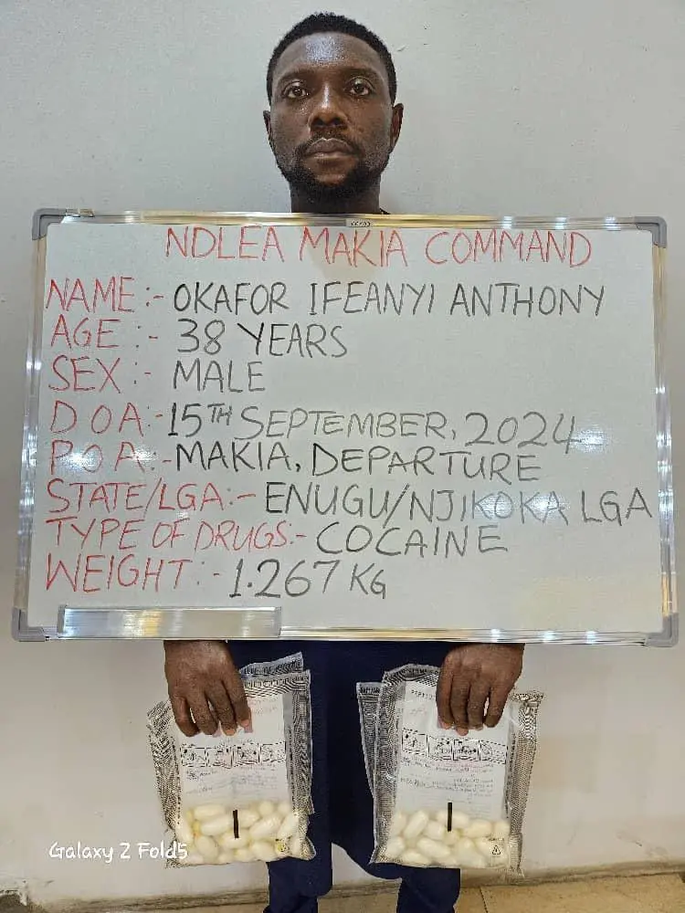 NDLEA arrests 80-year-old grandpa, community leader's 2 wives, seizes N16.1bn opioids