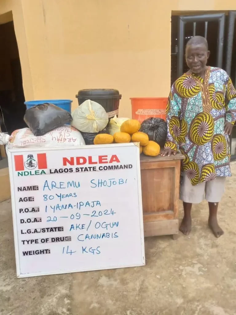 NDLEA arrests 80-year-old grandpa, community leader's 2 wives, seizes N16.1bn opioids