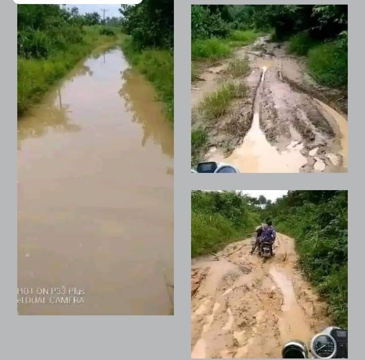 Neglect in Heartland: Plight of Asa Road in Ughelli South