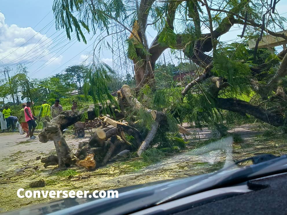 Torrential Rainfall Destroys Good Shepherd Roundabout and Other Multimillion Properties in Calabar