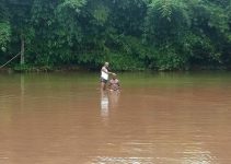 Stream Where Water Changes Colour 3 Times a Day and Cures Sicknesses in Cross River