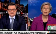 Elizabeth Pocahontas Warren Suggests Elon Musk is Using Donald Trump to Get Richer