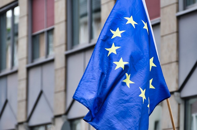 Brussels approves €200 million German aid for climate-adapted forests