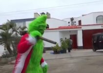 How Grinch Stole Christmas From Peruvian Drug Dealers