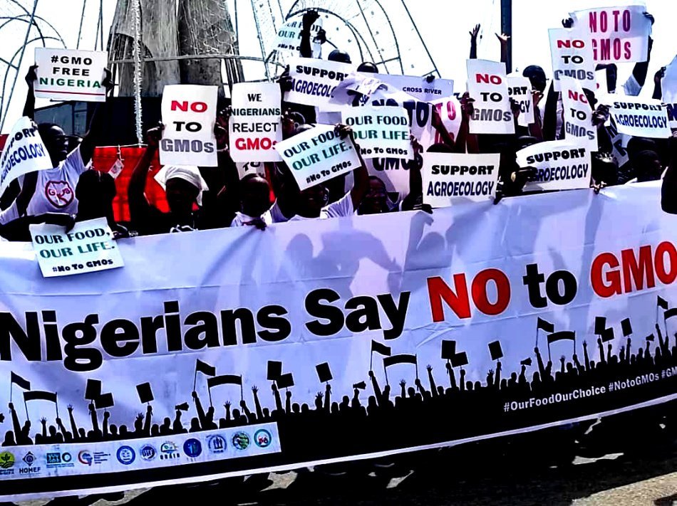 IMG 20241214 WA0000 CSOs Coalition Demands Ban on GMOs Over Health Concerns