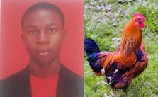 Update on 17-year-old Boy Sentenced to Death by Hanging for Stealing Fowl in Osun