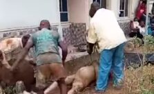24-Year-Old Allegedly Kills Mother, Dumps Body in Well in Cross River