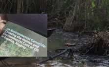 Leaked Files Show Niger Delta Oil Spill Clean Up Total Failure