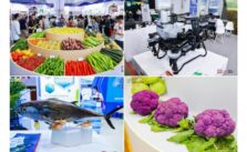 Over 2,000 Enterprises Worldwide Join China (Hainan) International Trade Fair for Tropical Agricultural Products