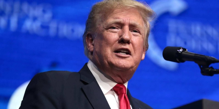 Trump Reveals Plans for New Government Agency