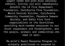 Leonardo DiCaprio Donates $1 Million to Support Organizations Responding to LA Wildfires