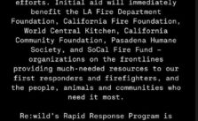 Leonardo DiCaprio Donates $1 Million to Support Organizations Responding to LA Wildfires