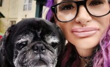 Dog Lover Devoured by Her Pet Pugs After Passing Away in Apartment