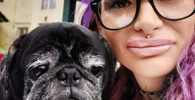 Dog Lover Devoured by Her Pet Pugs After Passing Away in Apartment