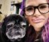 Dog Lover Devoured by Her Pet Pugs After Passing Away in Apartment