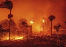 California Representative Cautions: Los Angeles Fires May Be the ‘Worst Disaster in State History’