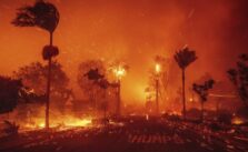 California Representative Cautions: Los Angeles Fires May Be the 'Worst Disaster in State History'