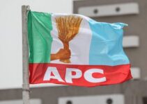 APC Criticizes Peter Obi for His ‘Yahoo Boys in Government’ Comment