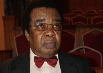 It’s an Insult: Nigeria Shouldn’t Have Joined BRICS, Says Akinyemi