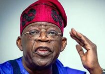 Tinubu Expresses Gratitude to Governors for Supporting Tax Bills, Urges National Assembly to Accelerate Process