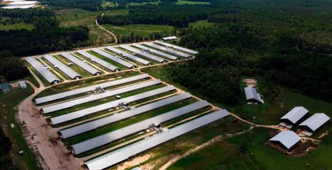 Federal Regulation May Offer Financial Protection to Thousands of Poultry Farmers in North Carolina