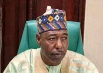 Zulum Issues Caution to Communities Against Supporting Boko Haram