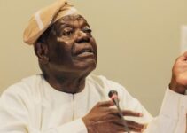 “Bisi Akande Reveals How Tinubu Was Convinced to Run for President: ‘Yoruba Used Him as a Sacrifice’”