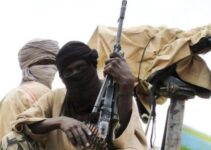 US Initiates Audit of Aid Funds to Nigeria Due to Boko Haram Concerns