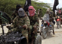 5,000 Former B’Haram Fighters Integrated into Society: A New Era or a Hazardous Bet?