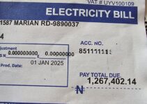 Ex-Vice President’s Aide Fumes After Receiving N1.2m Bill From DisCos