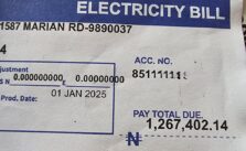 Ex-Vice President's Aide Fumes After Receiving N1.2m Bill From DisCos