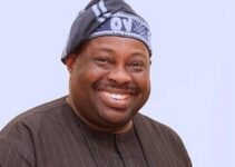 Dele Momodu Accuses APC of Instigating Crises in PDP and LP