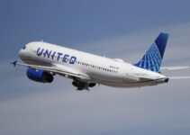 FAAN Reports 38 Injured in United Airlines Emergency Landing